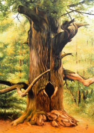 Starý strom, olej na plátně